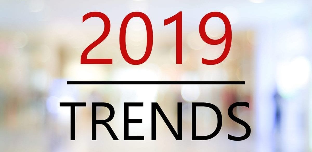 Common Web Design Trends of 2019
